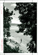 Saint Lucia - Vintage Photograph