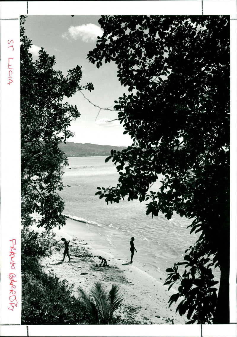 Saint Lucia - Vintage Photograph