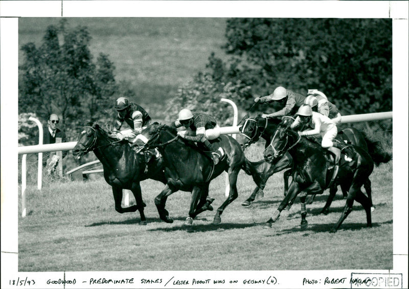 Goodwood - Predominate Stakes - Vintage Photograph