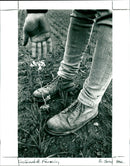 Sustainable Farming - Vintage Photograph