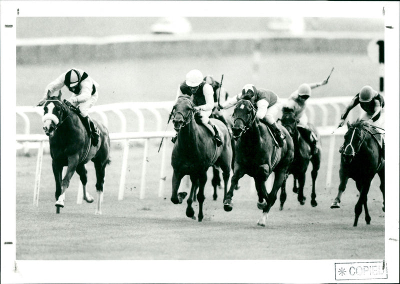 Horse racing - Vintage Photograph