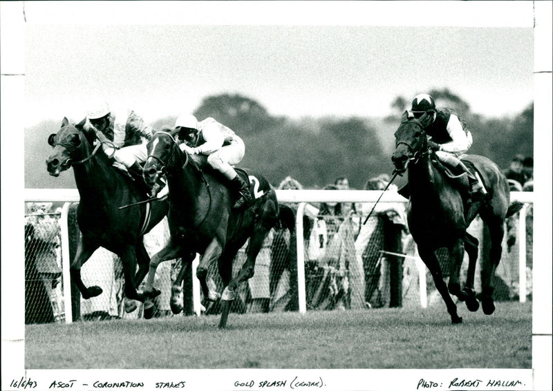 Ascot - Vintage Photograph