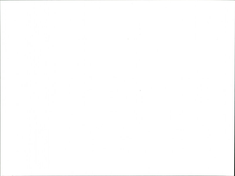 Paul McCartney - Vintage Photograph