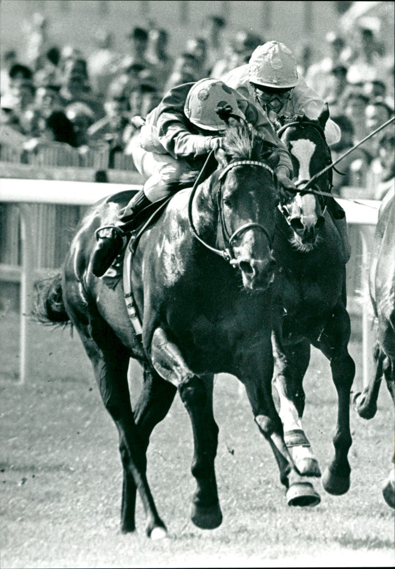 Palace House Stakes 1990 - Vintage Photograph