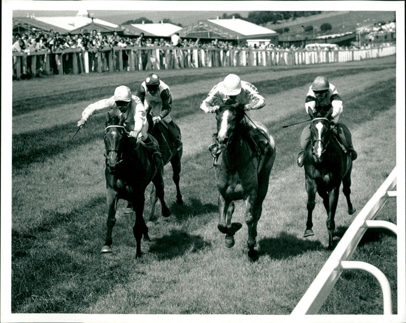 Horse racing - Vintage Photograph