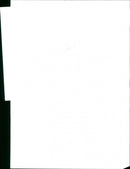 Musicians and a Lion. - Vintage Photograph