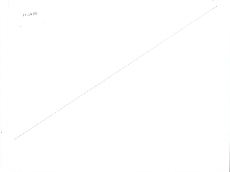 Bison - Vintage Photograph