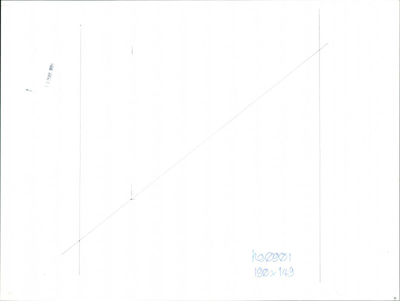 Rabbits - Vintage Photograph