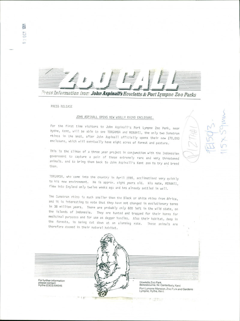 Rhinos - Vintage Photograph