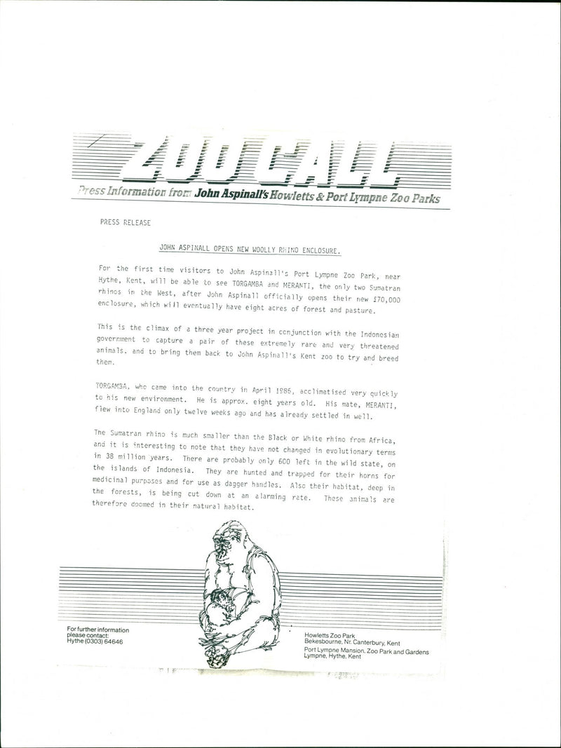 Rhino - Vintage Photograph