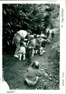 Nature Trail - Vintage Photograph