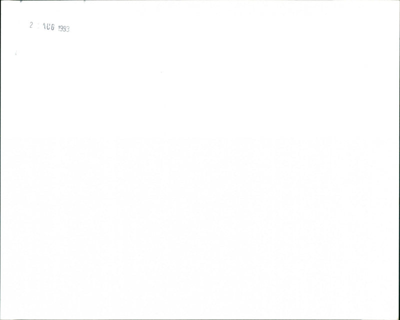 1993 Land Rover Discovery - Vintage Photograph