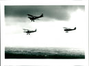 Tiger Moth - Vintage Photograph