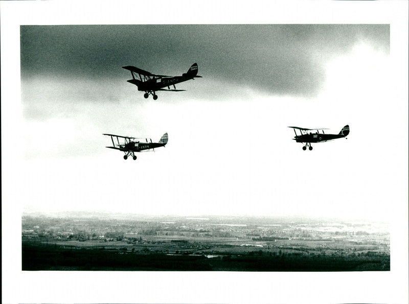 Tiger Moth - Vintage Photograph