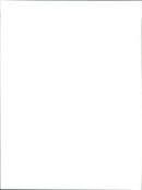 Tiger Moth - Vintage Photograph