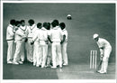 Cricket - Vintage Photograph