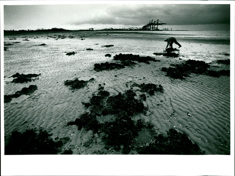 Felixstowe Docks - Vintage Photograph