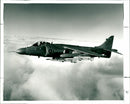 Sea Harrier FRS.2 - Vintage Photograph
