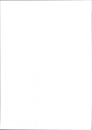 Arantxa Sanchez Vicario - Vintage Photograph