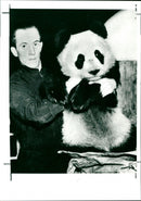 Panda, Sunday 14th August - Vintage Photograph
