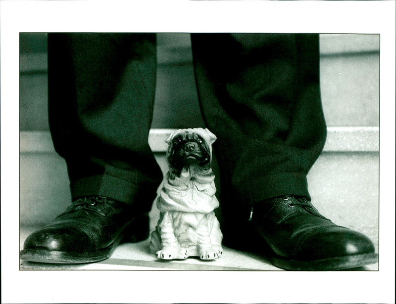 Dog - Vintage Photograph