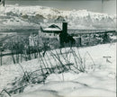 View of Liechtenstein - Vintage Photograph
