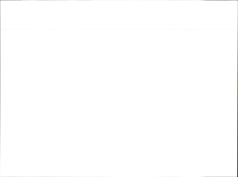 FLAMENCO - BY TURPIN NICHOLAS, STUDIO, LONDON, CROSS - Vintage Photograph