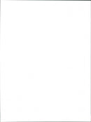 Tiger Moth - Vintage Photograph