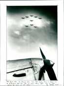 Tiger Moth - Vintage Photograph