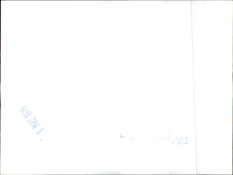 Mixed Cars. - Vintage Photograph