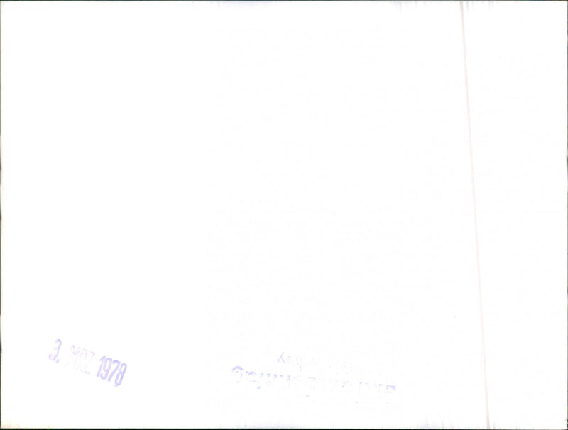 Mixed Cars. - Vintage Photograph