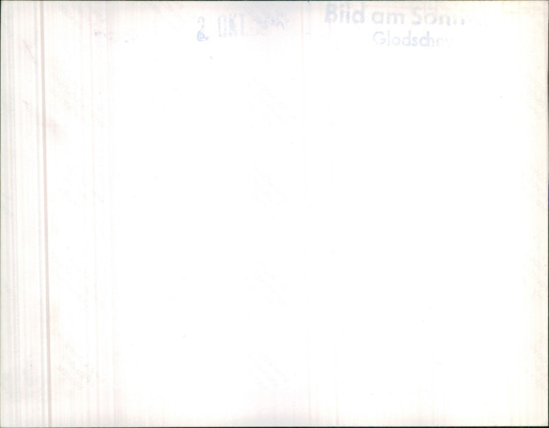 Mixed Cars. - Vintage Photograph