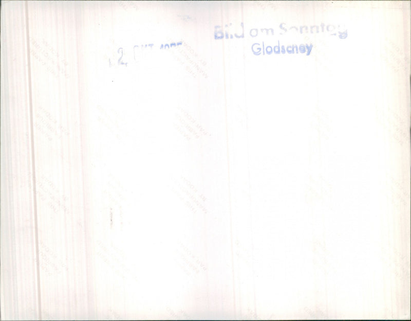 Mixed Cars. - Vintage Photograph