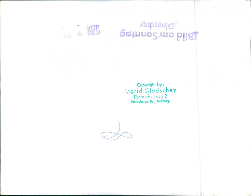 Mixed Cars Varius - Vintage Photograph