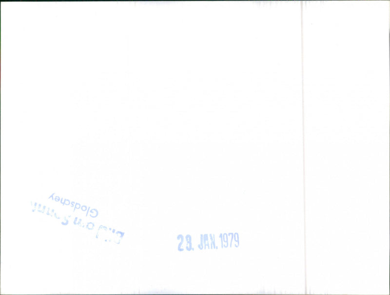 Mixed Cars Varius - Vintage Photograph