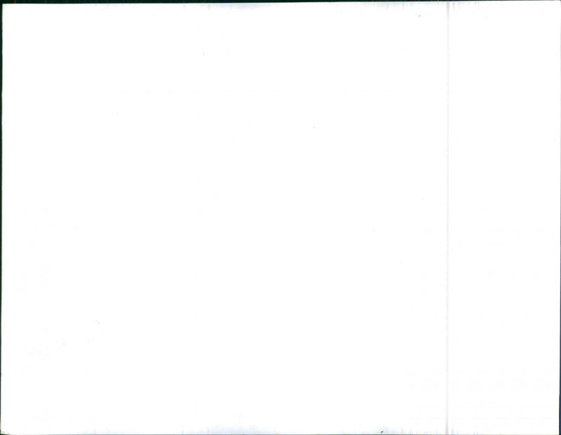 Mixed Cars Varius - Vintage Photograph