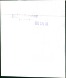 Mixed Cars Varius - Vintage Photograph