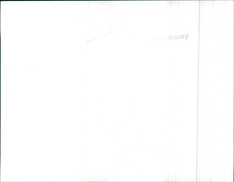 Mixed Cars various - Vintage Photograph