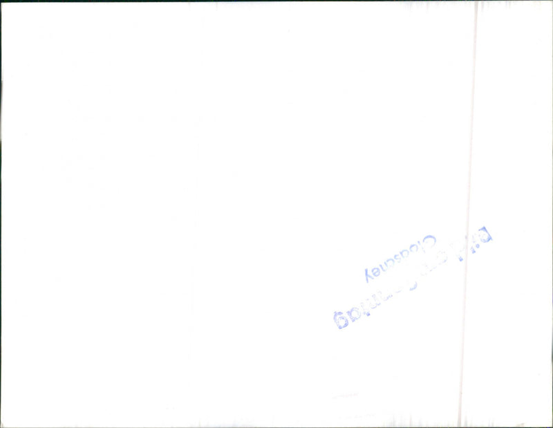 Mixed Cars various - Vintage Photograph