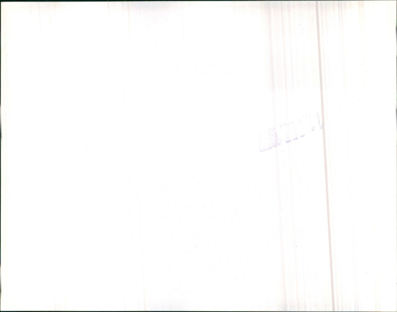 Mixed Cars various - Vintage Photograph