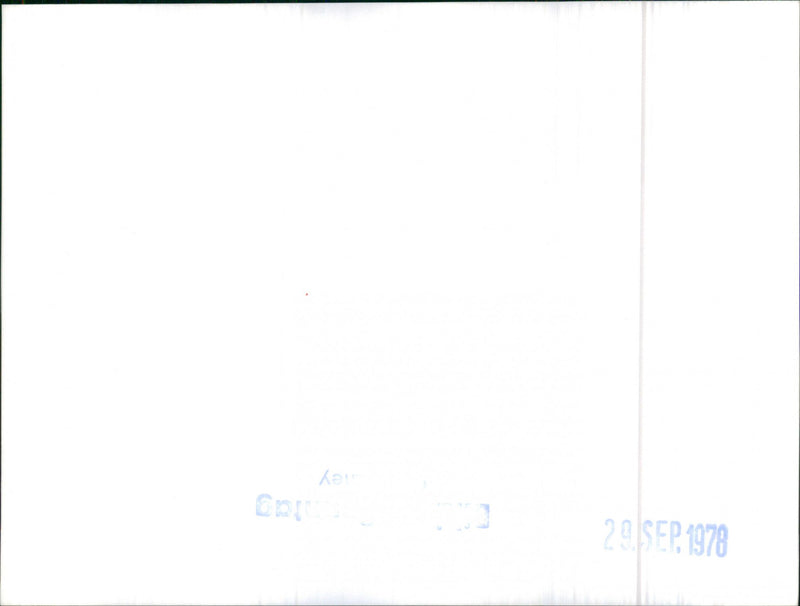 Mixed Cars various - Vintage Photograph