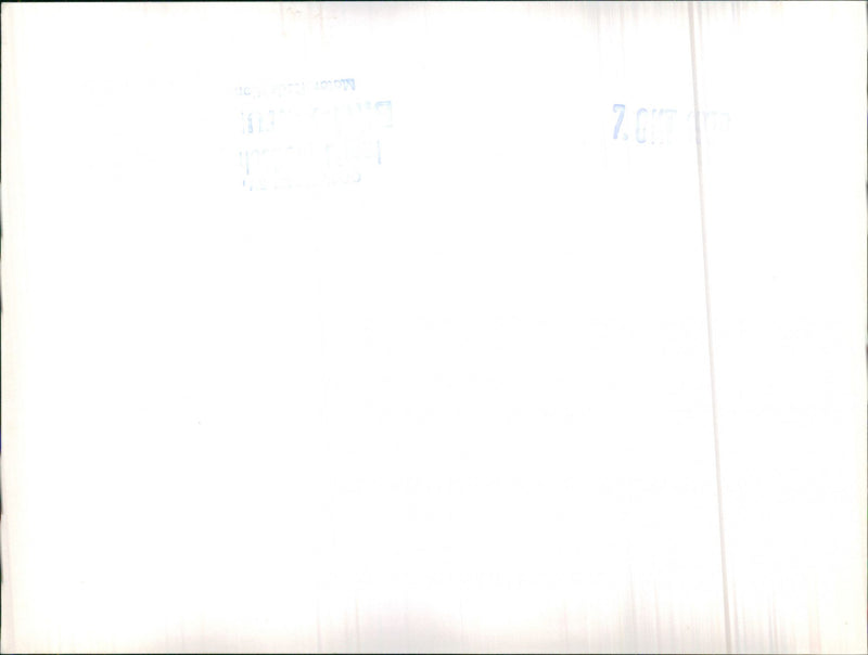 Mixed Cars various - Vintage Photograph