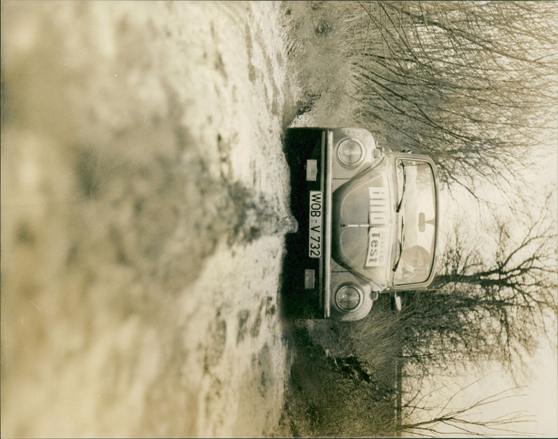 Mixed Cars various - Vintage Photograph