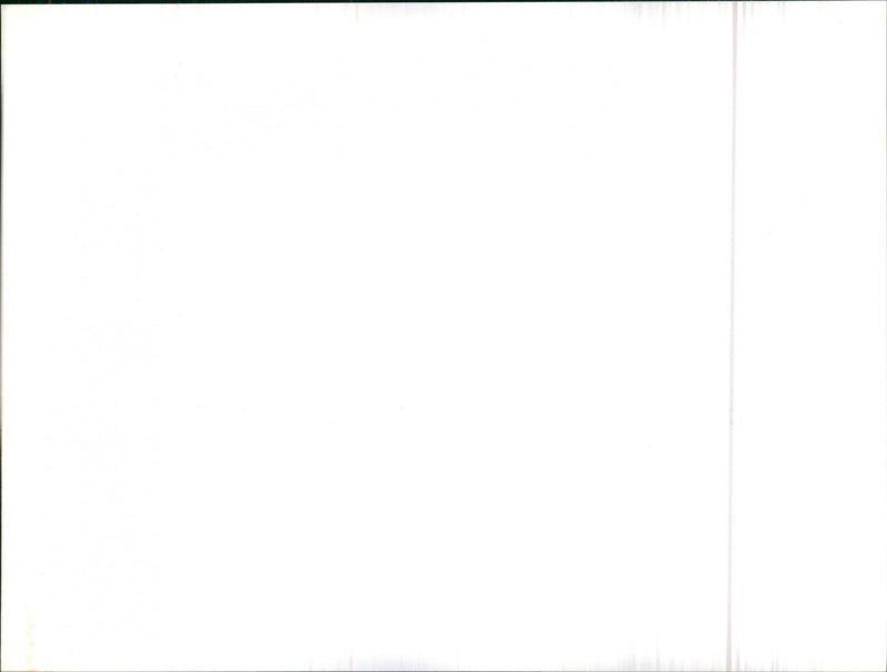 Mixed Cars Varius - Vintage Photograph