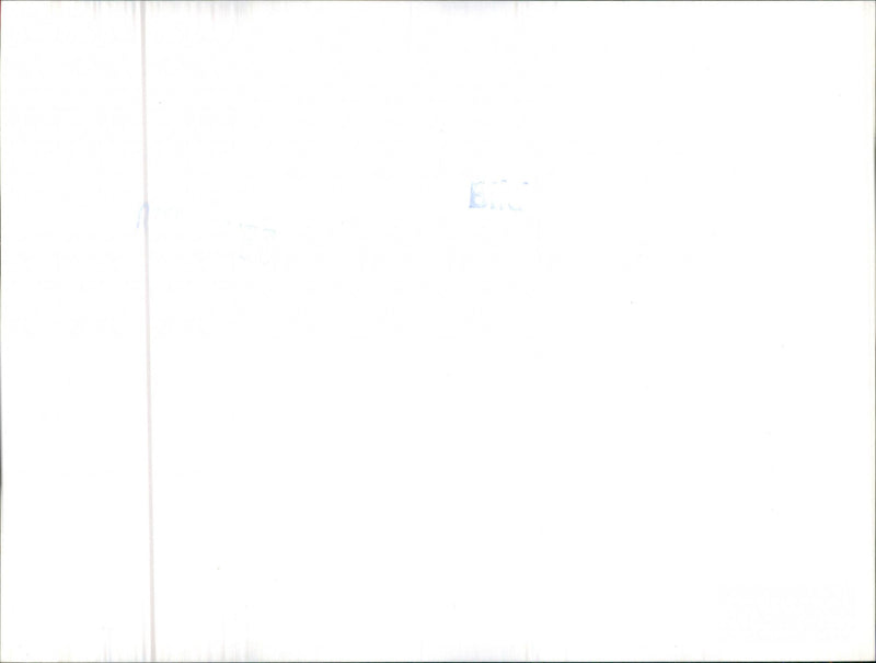 Mixed Cars Varius - Vintage Photograph