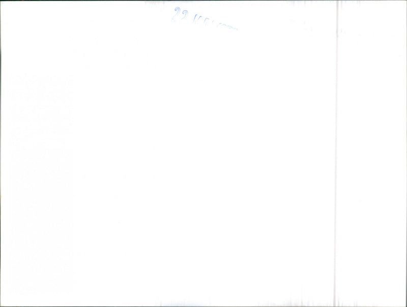 Mixed Cars Varius - Vintage Photograph