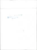 Mixed Cars Varius - Vintage Photograph