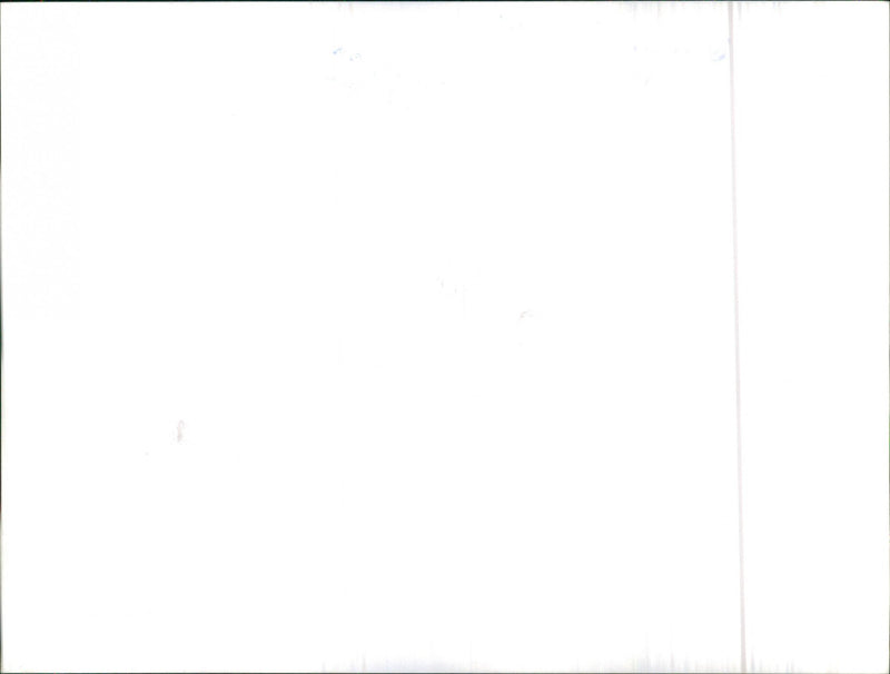 Mixed Cars Varius - Vintage Photograph