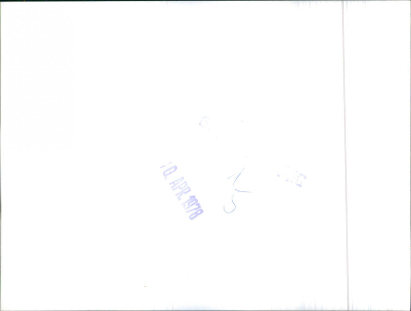 Mixed Cars Varius - Vintage Photograph