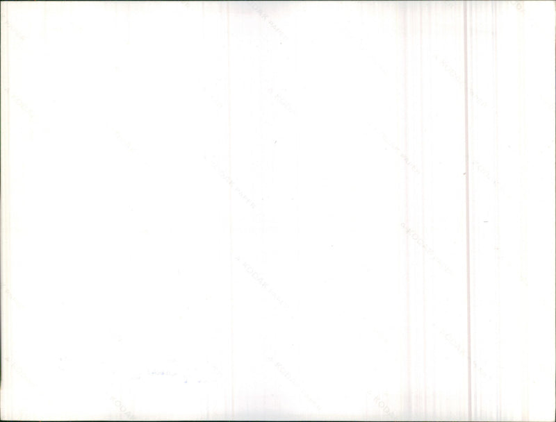 Audi - Vintage Photograph